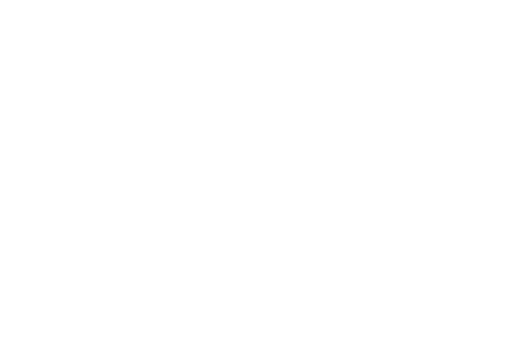 arsaffix logo